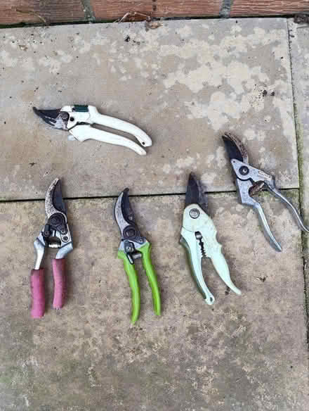 Photo of free Secateurs (CO12) #1