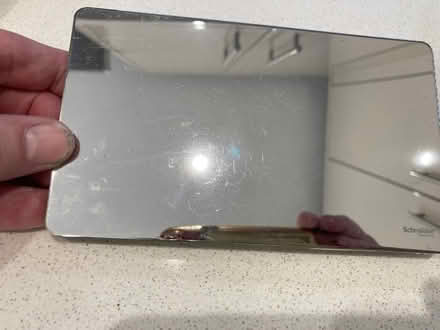 Photo of free Shneider (Maidenhead SL6) #1