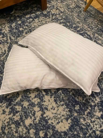 Photo of free Pillows (SE1) #1