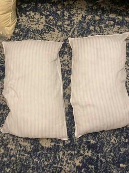 Photo of free Pillows (SE1) #2