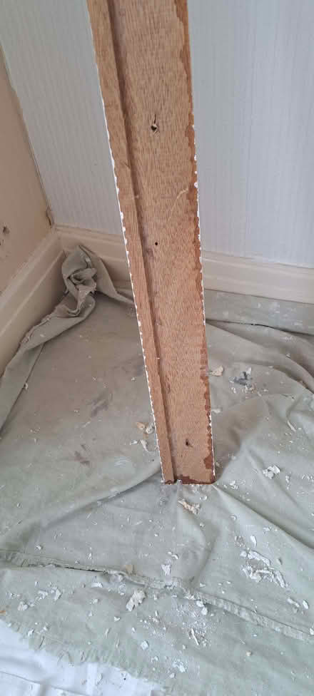Photo of free Wooden battens (Tickhill DN11) #4