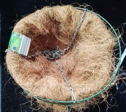 Photo of free Two Hanging Baskets (Heelands MK13) #1