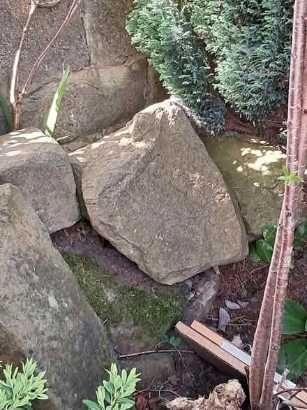 Photo of free Various stones/boulders (Greenhill S8) #3