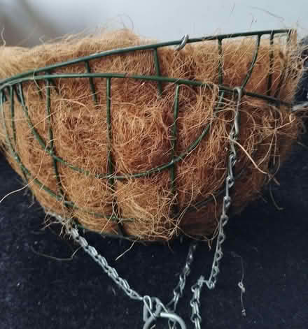 Photo of free Two Hanging Baskets (Heelands MK13) #2