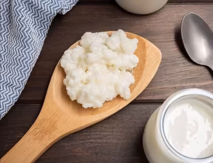 Photo of free Kefir “grains” (north Lake City) #1