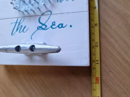 Photo of free Seahorse wall decoration (CM2 springfield, chelmsford) #3