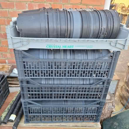 Photo of free 3L plant pots (Rother TN35) #1