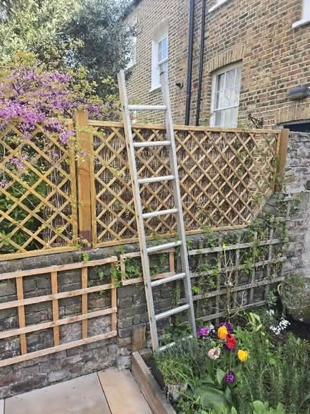 Photo of free Step ladder (Greenwich SE10) #1