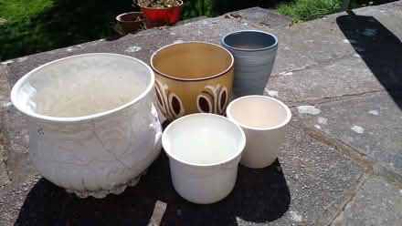 Photo of free Plant pots (HA9) #2