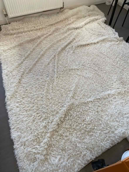 Photo of free Fluffy Rug Anti-Slip Carpet (Canning Town) #3