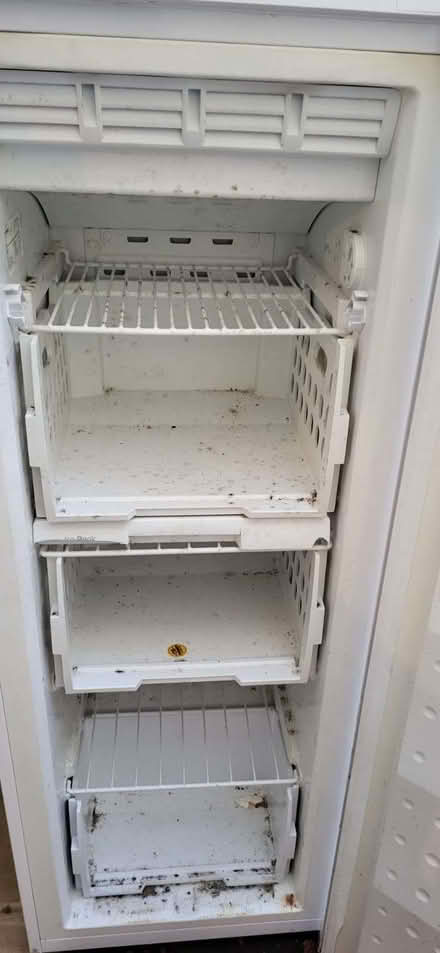 Photo of free Freezer (CT19) #3