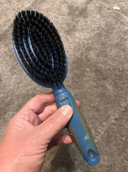Photo of free Dog brush (Cheylesmore CV3) #2