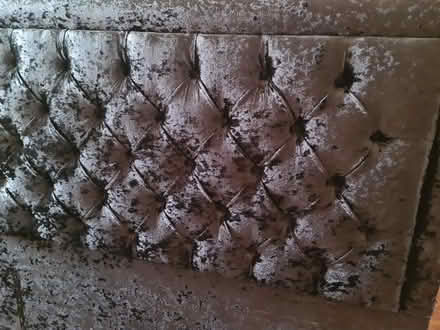 Photo of free Black velvet headboard double bed (Henley-on-Thames RG9) #1