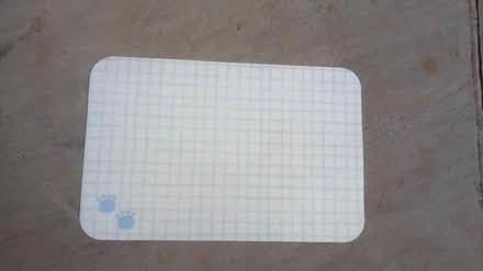 Photo of free Pet placemat (Horsham, near Bennetts Field) #1