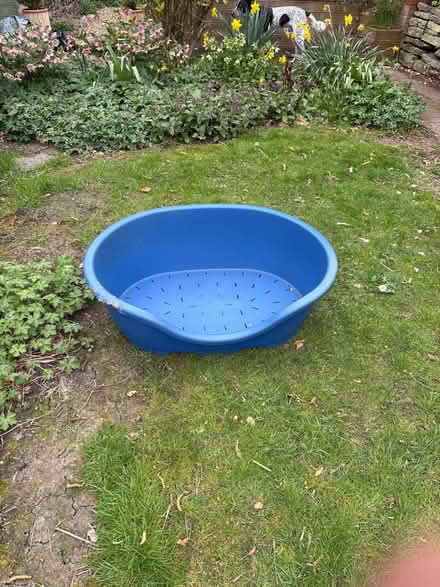 Photo of free Large blue plastic dog bed (Crosspool S10) #1