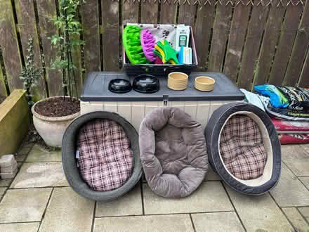 Photo of free Selection of items for a small/medium sized dog .... (BT8) #1