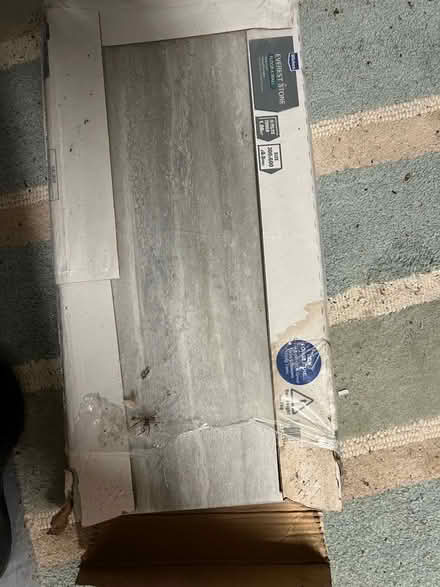 Photo of free tiles 300x600 mat grey (Clanfield PO8) #1