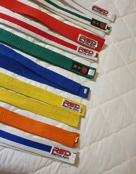 Photo of free martial arts belts (Yatton Keynell SN14) #2