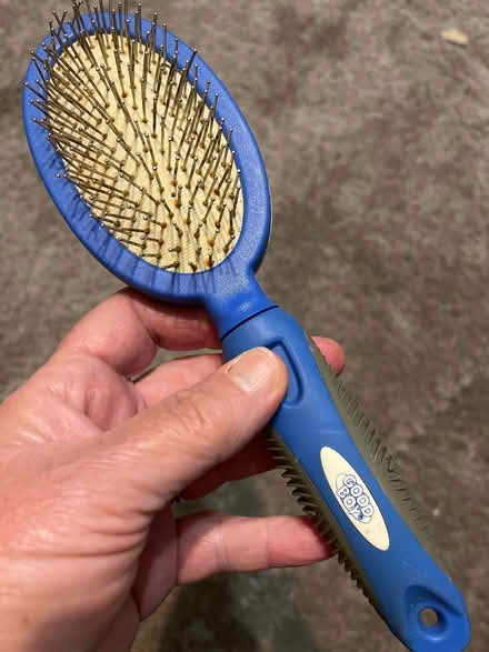 Photo of free Dog brush (Cheylesmore CV3) #3