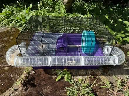 Photo of free Hamster cage (Enfield EN2) #3