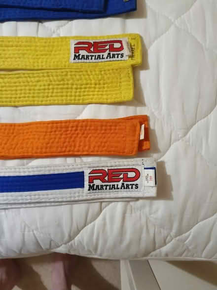 Photo of free martial arts belts (Yatton Keynell SN14) #3
