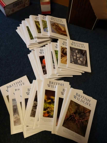 Photo of free British Wildlife magazines from 2015-2024 (Stroud GL5) #1