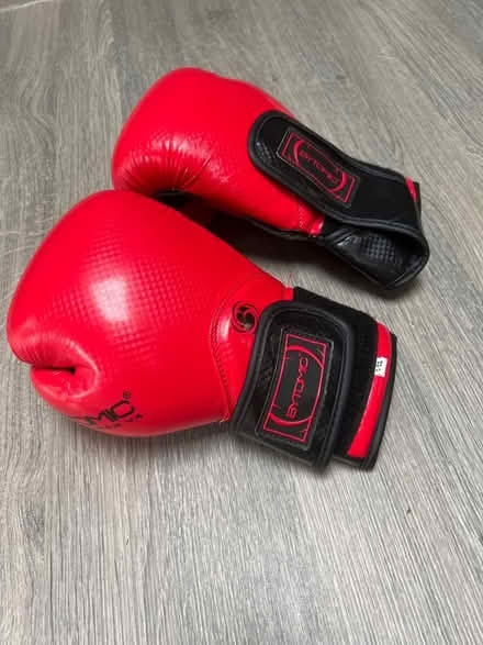 Photo of free Childrens Martial Arts gloves. Size 7. Good condition. (Southsea PO4) #1