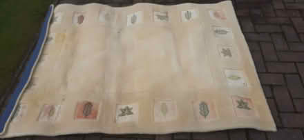 Photo of free Next Rug, heavy, good quality (Livingston EH54) #2