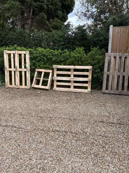Photo of free Pallets (Ascot SL5) #1