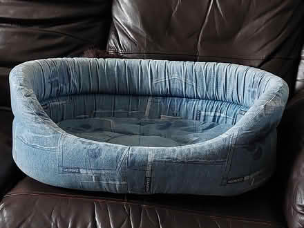 Photo of free Small dog bed (Waterlooville PO7) #1