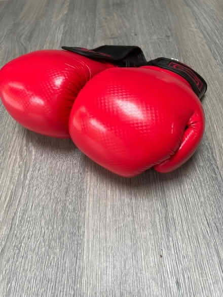 Photo of free Childrens Martial Arts gloves. Size 7. Good condition. (Southsea PO4) #2