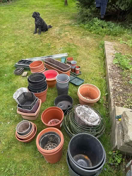 Photo of free Lots of plastic pots and potting trays (Wheathampstead AL4) #2