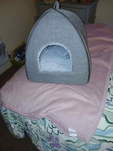 Photo of free Cat bed (Newhaven BN9) #1