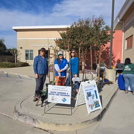 Photo of free Trees (San Bernardino. May 10) (Baker Family Learning Center) #1