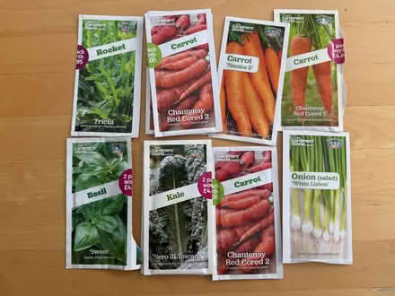 Photo of free Vegetable Seeds (Bracknell Forest RG42) #1