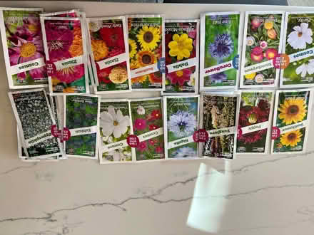 Photo of free Flower Seeds (Bracknell Forest RG42) #1