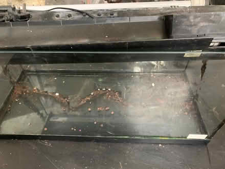Photo of free Fish Tank (Fairfield Park) #2