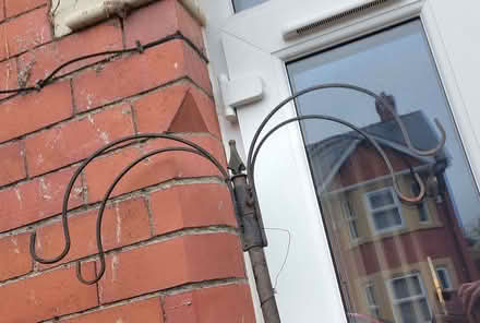 Photo of free Bird feeding station. (Oswestry SY11) #3