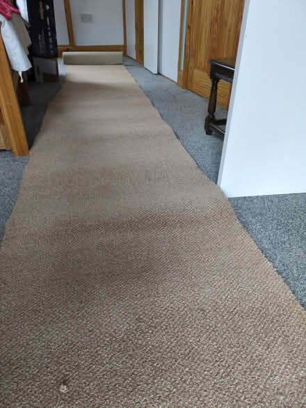 Photo of free Long and unused carpet offcut 440cm x 63-71cm (Botley OX2) #1
