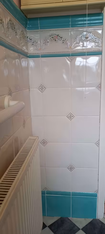 Photo of free Tiles (Ashton Green BN8) #4