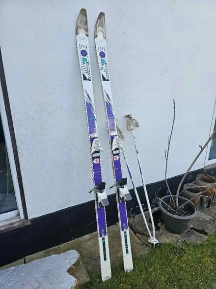 Photo of free Skis (Rayleigh SS6) #1