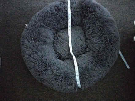 Photo of free dog beds (Hooley CR5) #2