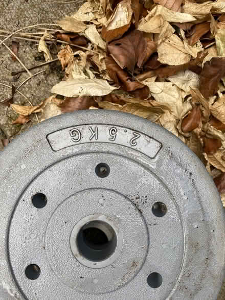 Photo of free Weights (Lazonby CA10) #4