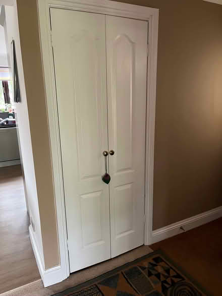 Photo of free Door (Bray SL6) #1