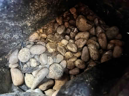 Photo of free Decorative pebbles (Lower Earley RG6) #3