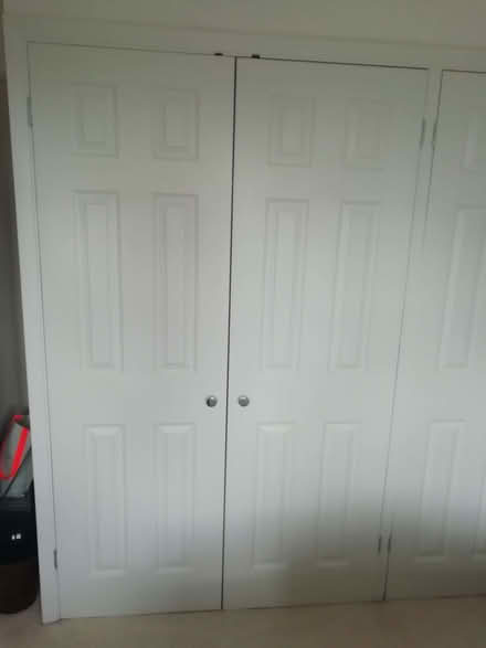 Photo of free 4 wardrobe doors 61cm wide (Emmer Green RG4) #1