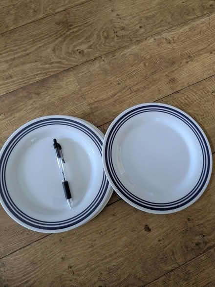 Photo of free Melamine picnic plates (Hove Green BN3) #1