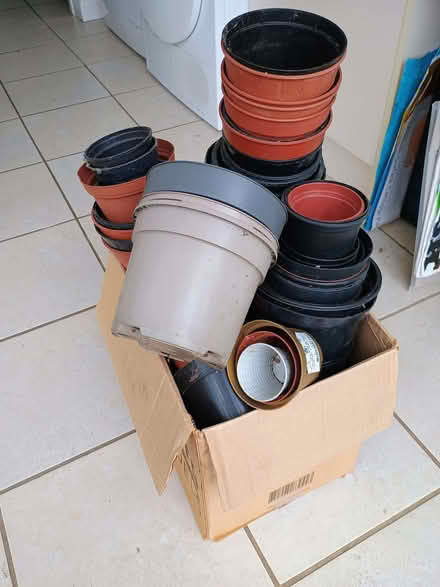 Photo of free boxful of plastic plant pots. Various sizes (Temple Street OX4) #1