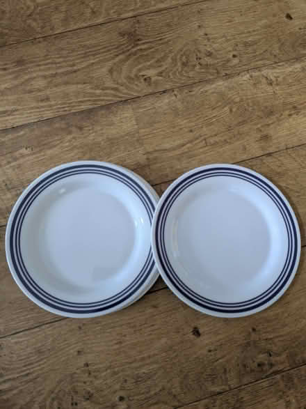 Photo of free Melamine picnic plates (Hove Green BN3) #2