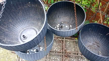 Photo of free hanging baskets (Chapeltown LS7) #2